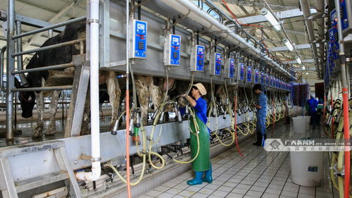 鐘山科技服務(wù) 以信息技術(shù)咨詢助力富民產(chǎn)業(yè)發(fā)展